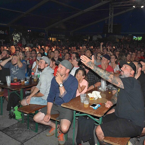 
									Public Viewing Schweiz - Brasilien: Bild 14
								