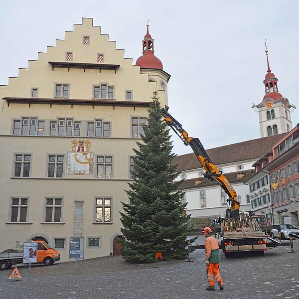 
									Nordmannstanne wanderte vom Denner vors Rathaus: Bild 5
								