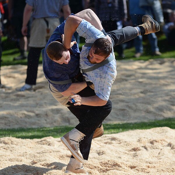 
									10. Surentaler Frühjahrsschwinget: Bild 12
								