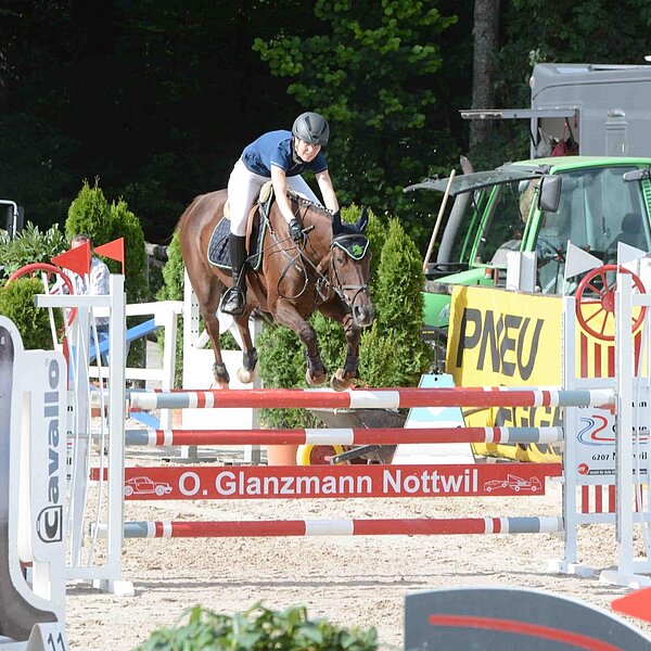
									Pferdesporttage Sursee 2018: Bild 24
								