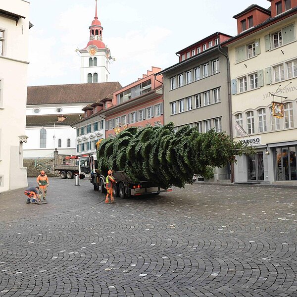 
									Nordmannstanne wanderte vom Denner vors Rathaus: Bild 13
								