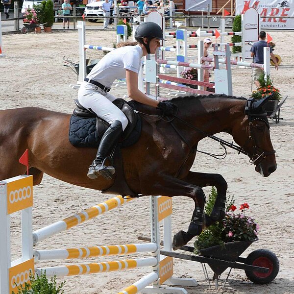 
									Pferdesporttage Sursee 2018: Bild 12
								