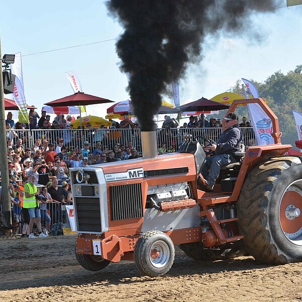 
									Knutwiler Powerdays: Bild 23
								