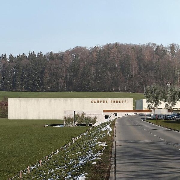 
									Campus Sursee: Schwimm- und Sporthalle: Bild 5
								