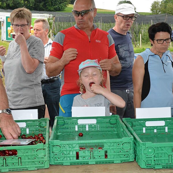 
									Chriesifäscht in Büron: Bild 9
								