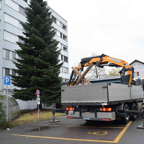 
									Nordmannstanne wanderte vom Denner vors Rathaus: Bild 12
								
