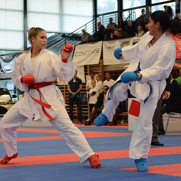 
									Karate-SM 2016 in Liestal: Bild 9
								