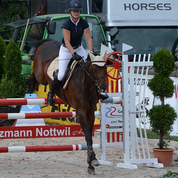 
									Pferdesporttage Sursee 2018: Bild 15
								
