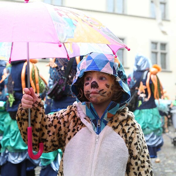 
									Umzug Sursee 2017: Bild 9
								