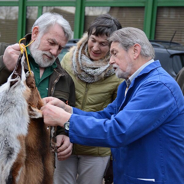 
									Fäälimärt Sursee: Bild 2
								