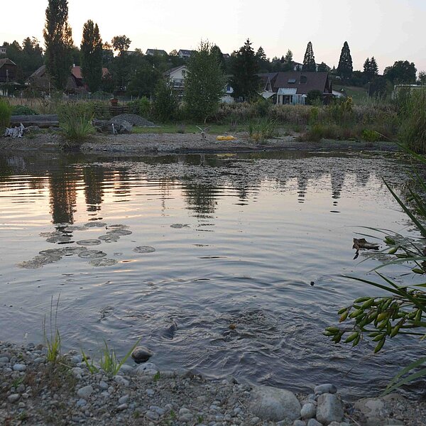 
									Bajram Sopi mit seinen Tieren: Bild 7
								