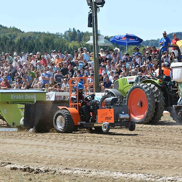
									Knutwiler Powerdays: Bild 13
								