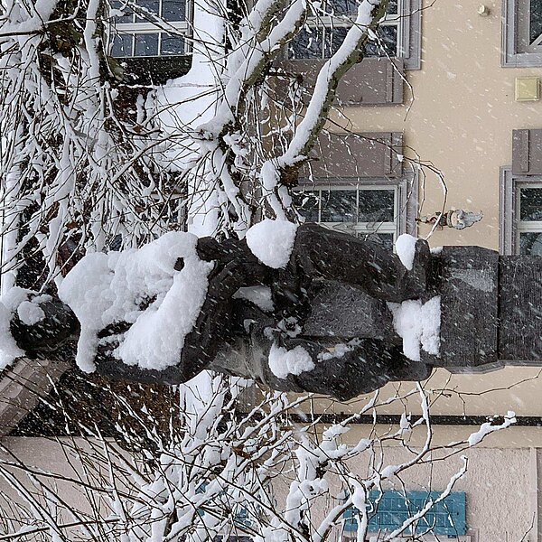 
									Winter in der Region 2019: Bild 2
								