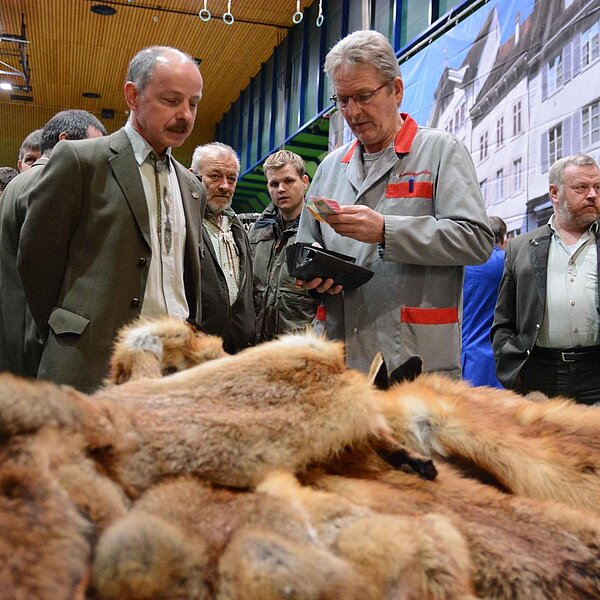 
									Fäälimärt Sursee: Bild 11
								