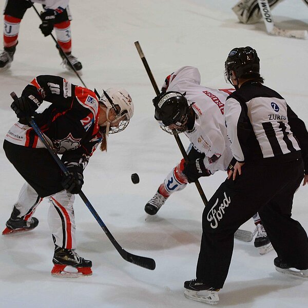 
									EHC_Sursee_Damen_Aufstieg: Bild 4
								