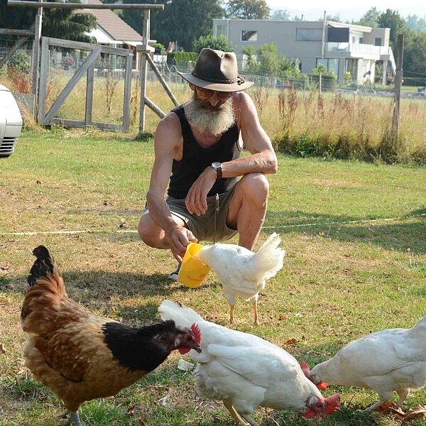 
									Bajram Sopi mit seinen Tieren: Bild 2
								