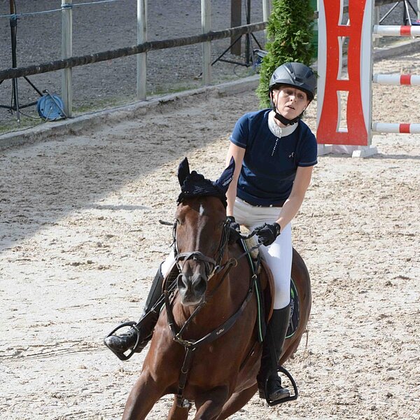 
									Pferdesporttage Sursee 2018: Bild 25
								