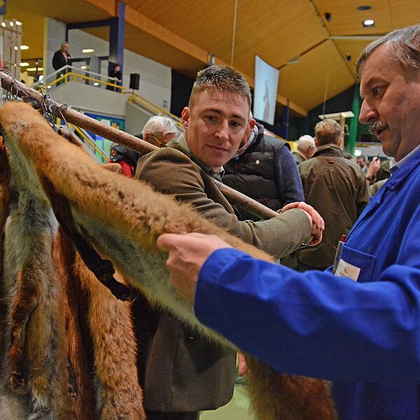 
									Fäälimärt Sursee: Bild 8
								