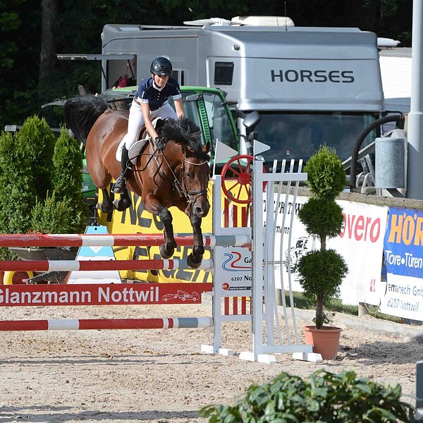 
									Pferdesporttage Sursee 2018: Bild 28
								