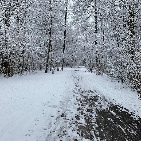 
									Winter in der Region 2019: Bild 3
								