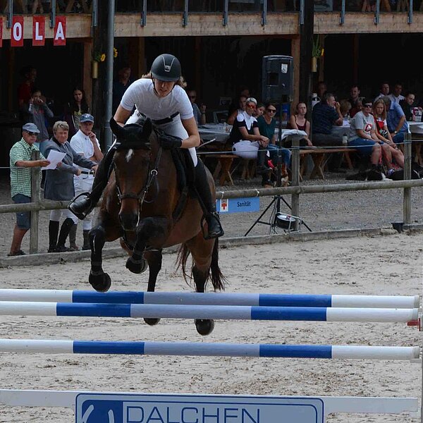 
									Pferdesporttage Sursee 2018: Bild 11
								