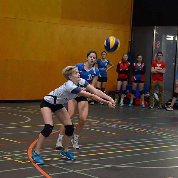 
									Matchtag VBC Sursee: Bild 2
								