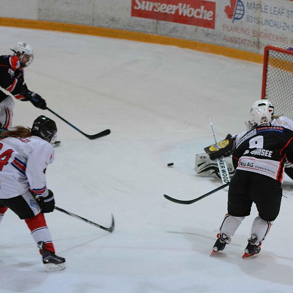 
									EHC_Sursee_Damen_Aufstieg: Bild 3
								