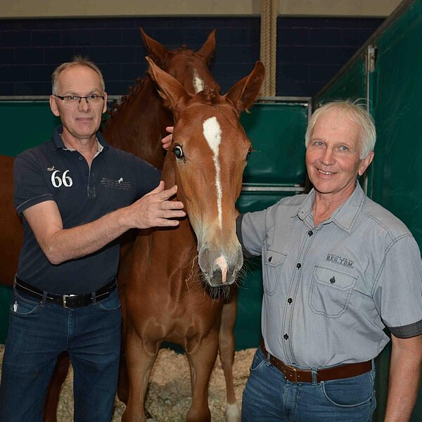 
									Sportfohlenauktion: Bild 4
								