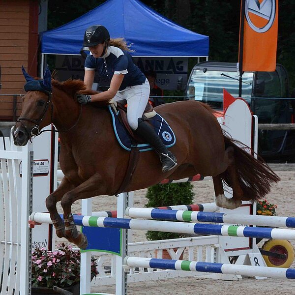 
									Pferdesporttage Sursee 2018: Bild 17
								