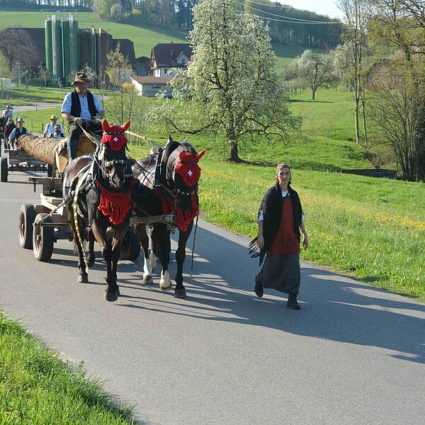 
									Historischer Baumtransport: Bild 11
								