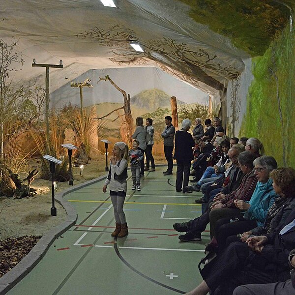 
									Vogelausstellung Sursee: Bild 8
								