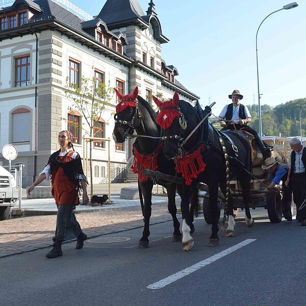 
									Historischer Baumtransport: Bild 22
								