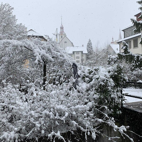
									Winter in der Region 2019: Bild 4
								