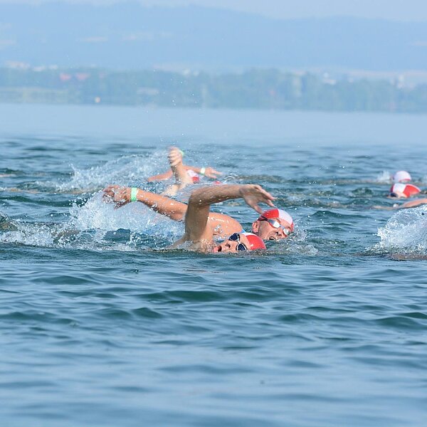 
									48. Sempacherseeüberquerung: Bild 1
								