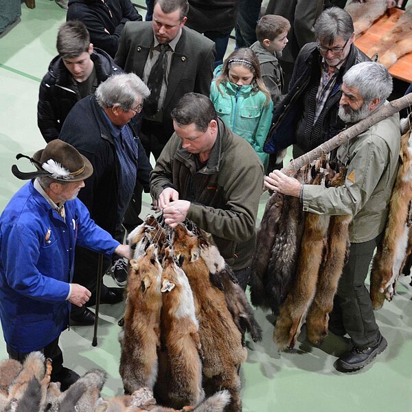 
									Fäälimärt Sursee: Bild 13
								