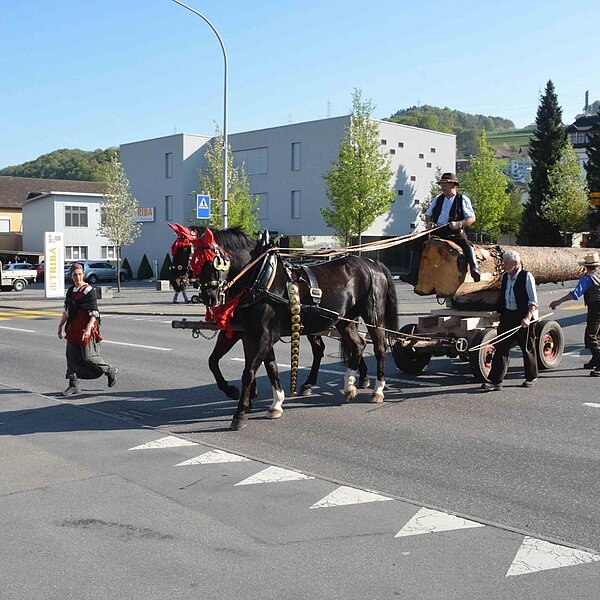 
									Historischer Baumtransport: Bild 23
								