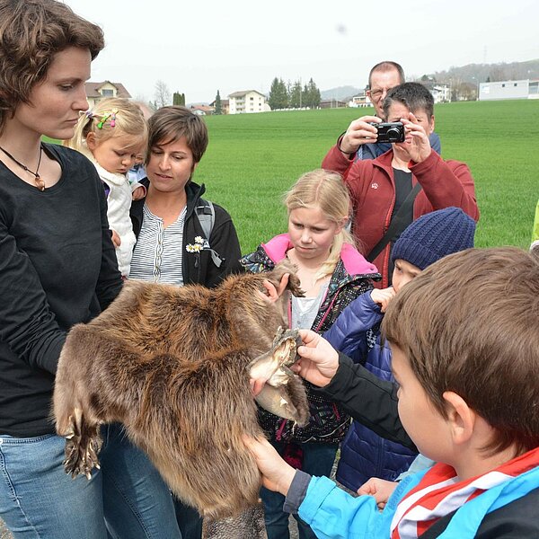 
									Biber-Wanderung an der Sure: Bild 5
								